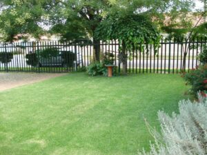 An image of a garden.